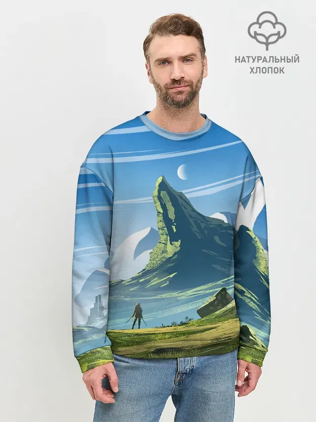 Мужской свитшот базовый
