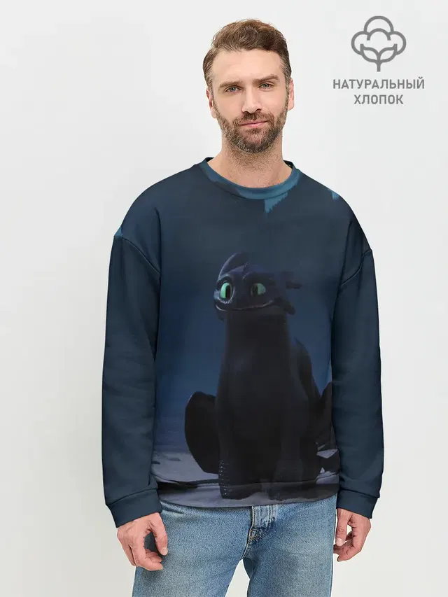 Беззубик:Ночная Фурия