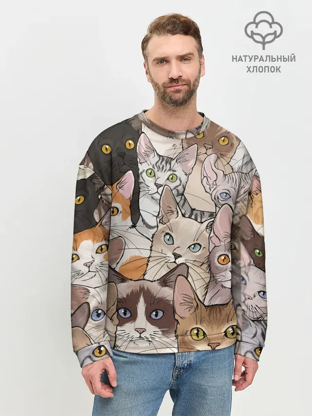 Котики