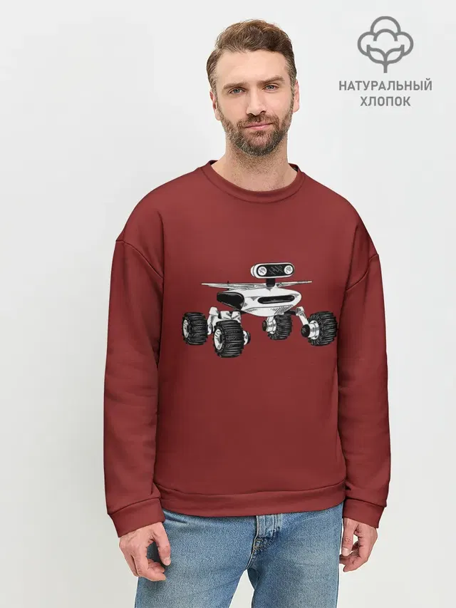 Мужской свитшот базовый