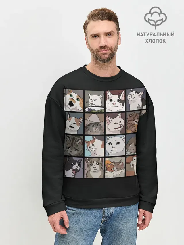 Коты и кошки