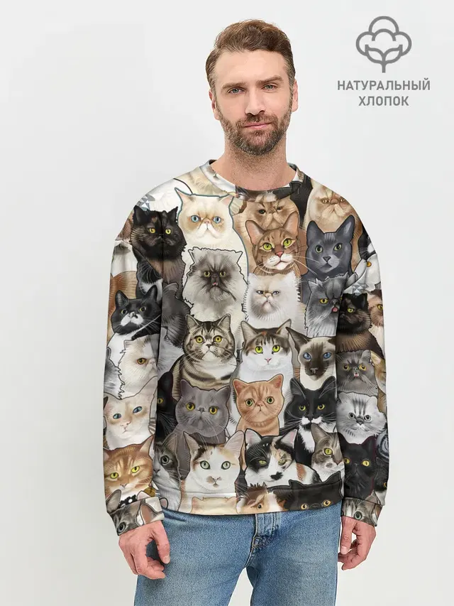 Котики смешные