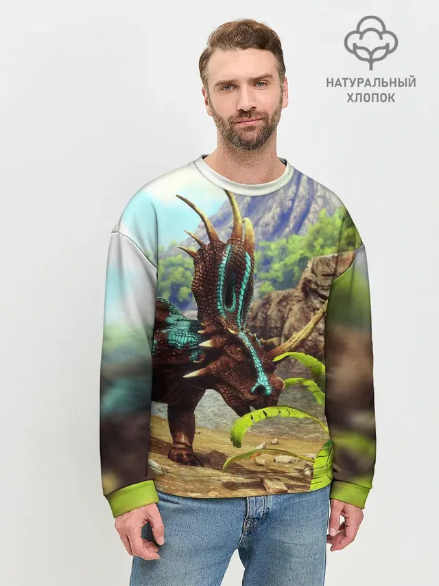 Мужской свитшот базовый