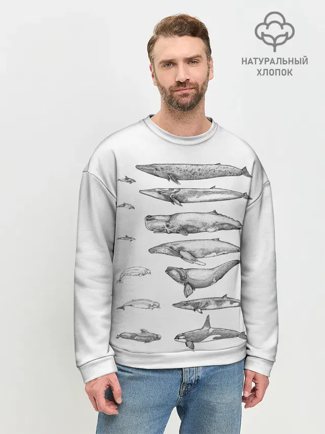 Мужской свитшот базовый