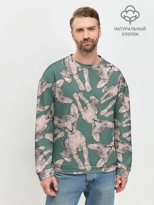 Котёнок сфинкса