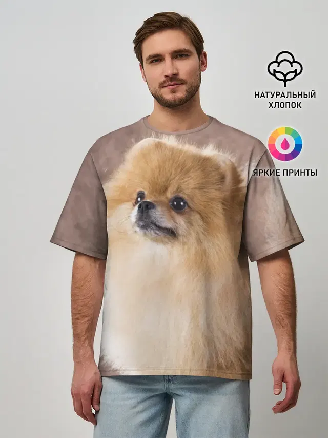 Шпитс