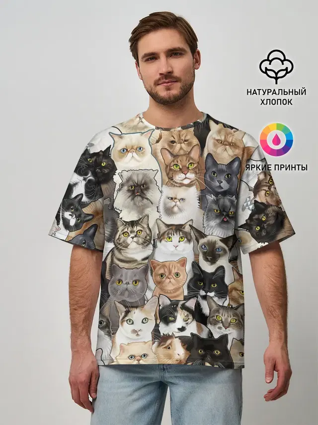 Котики смешные
