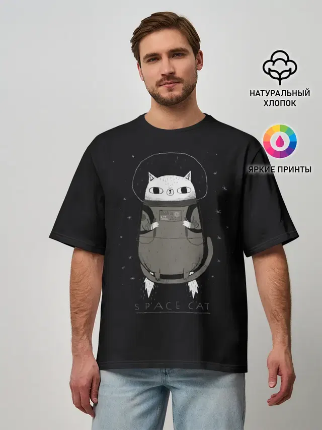 Кот космонавт
