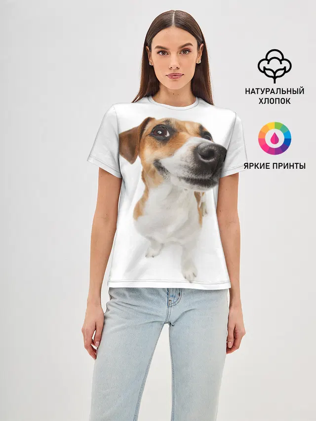 Собака