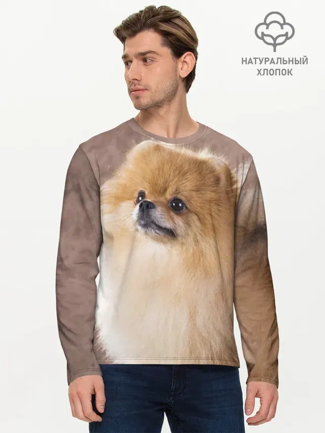 Шпитс