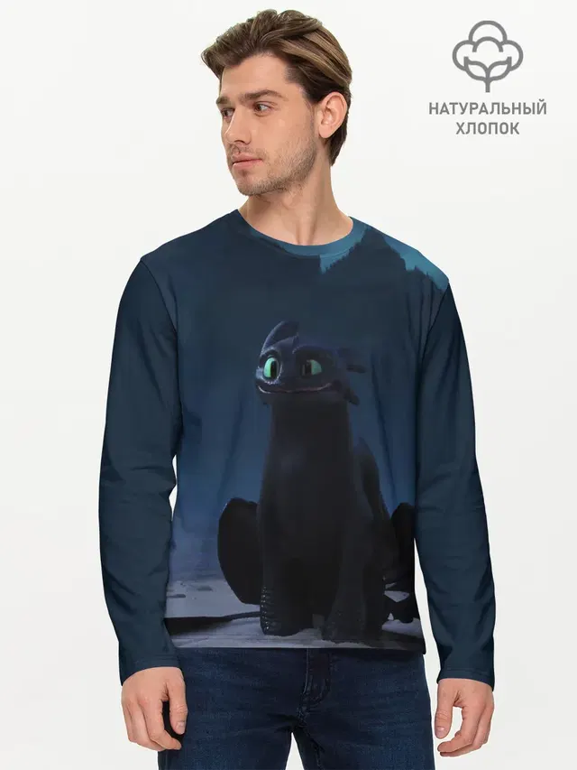 Беззубик:Ночная Фурия