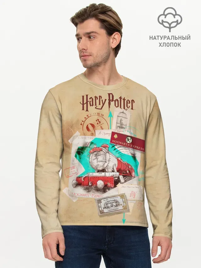 Harry Potter Hogwarts Express