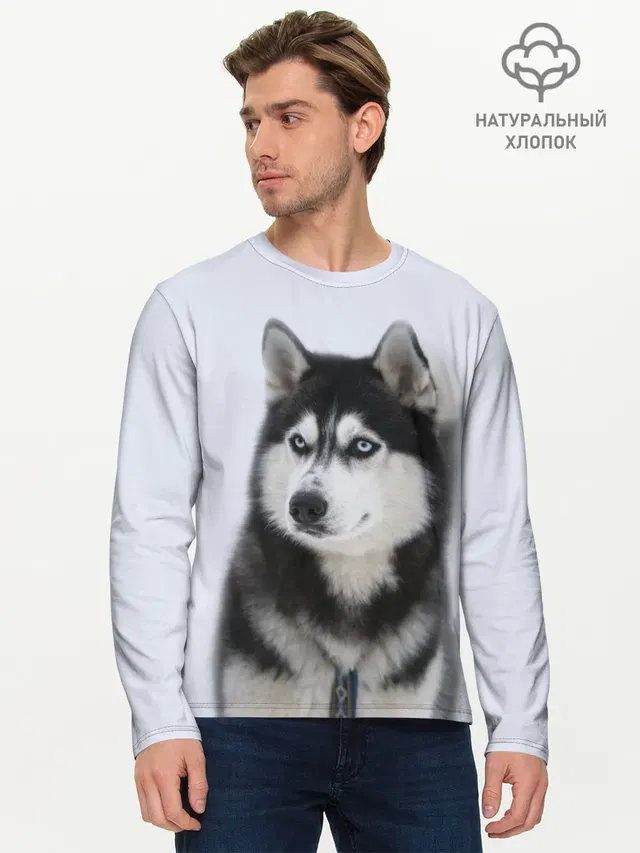 ХАСКИ