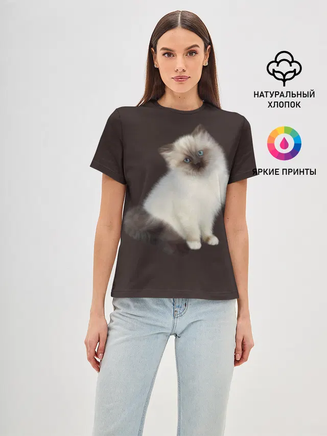 Котенок Ми