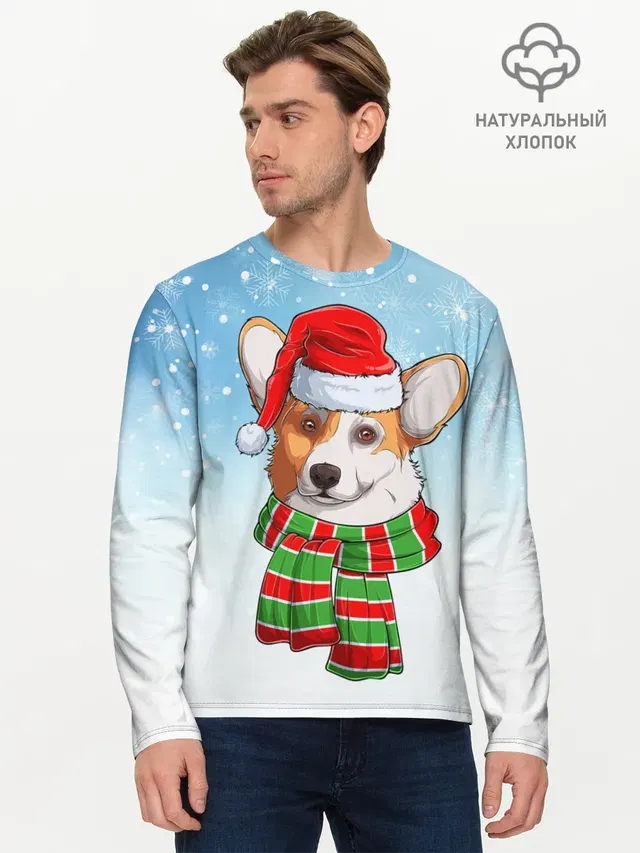 Новогодний Корги / New Years Corgi