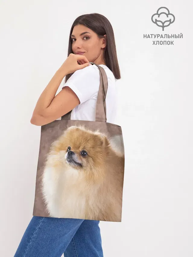 Шпитс