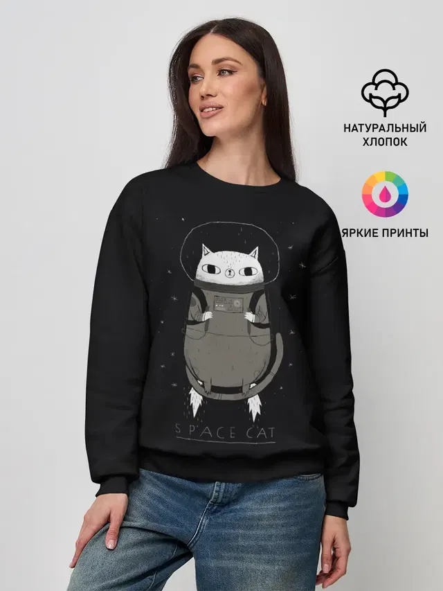 Кот космонавт