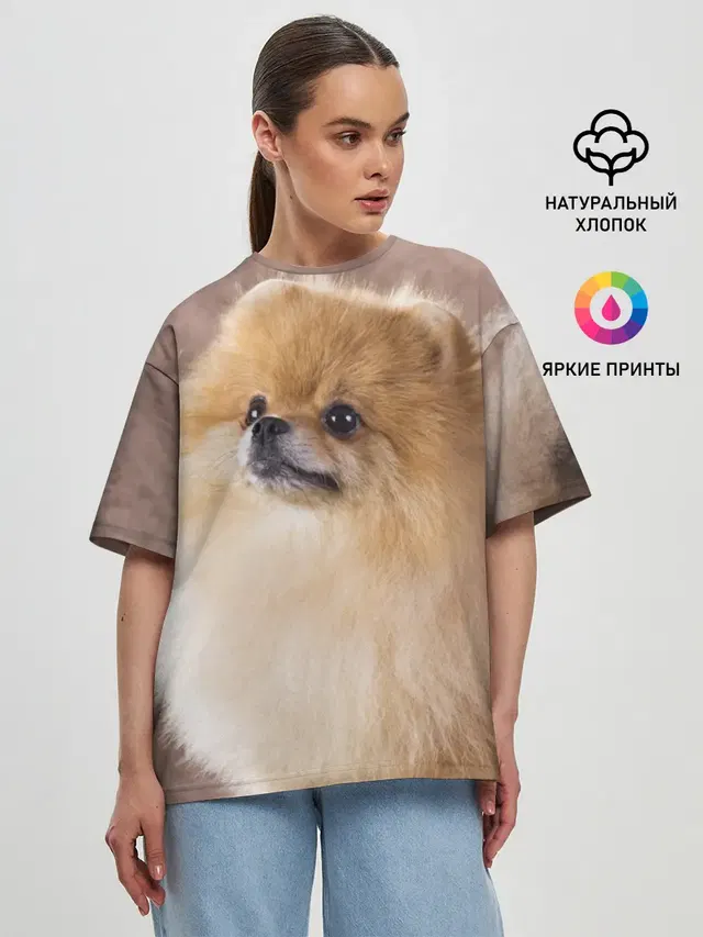 Шпитс