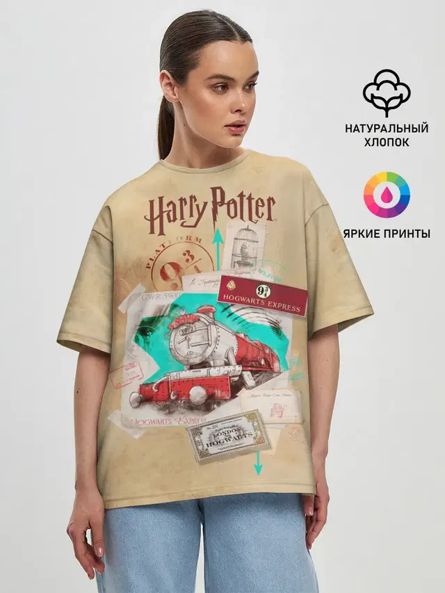 Harry Potter Hogwarts Express