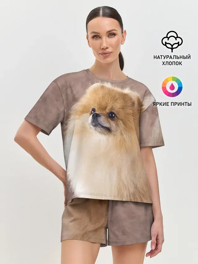 Шпитс
