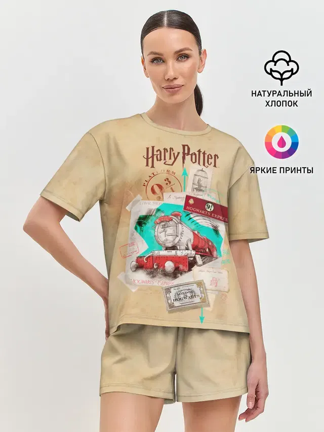 Harry Potter Hogwarts Express