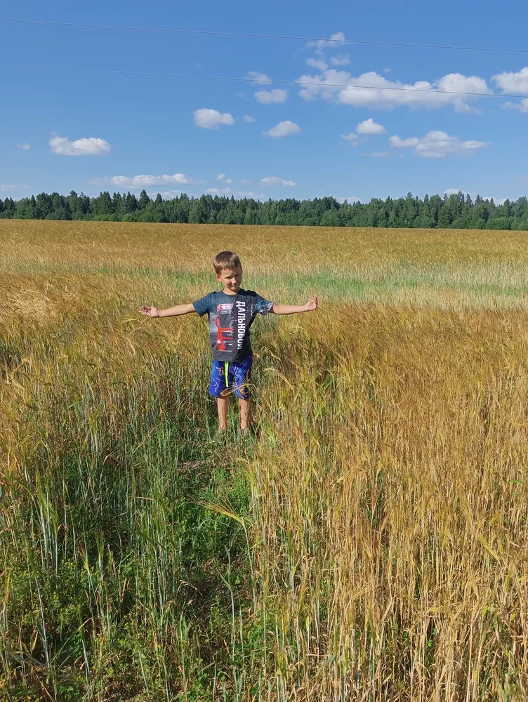 Фото-отзыв покупателя — одежда с принтом, Lacotton