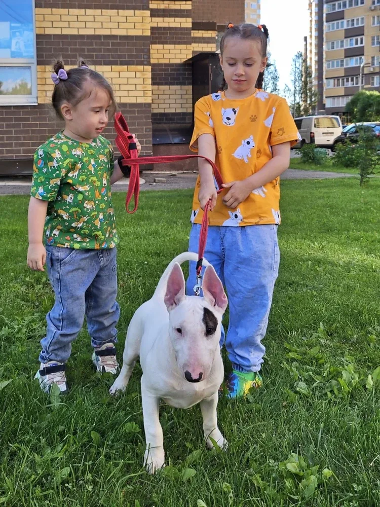 Фото-отзыв покупателя — одежда с принтом, Lacotton