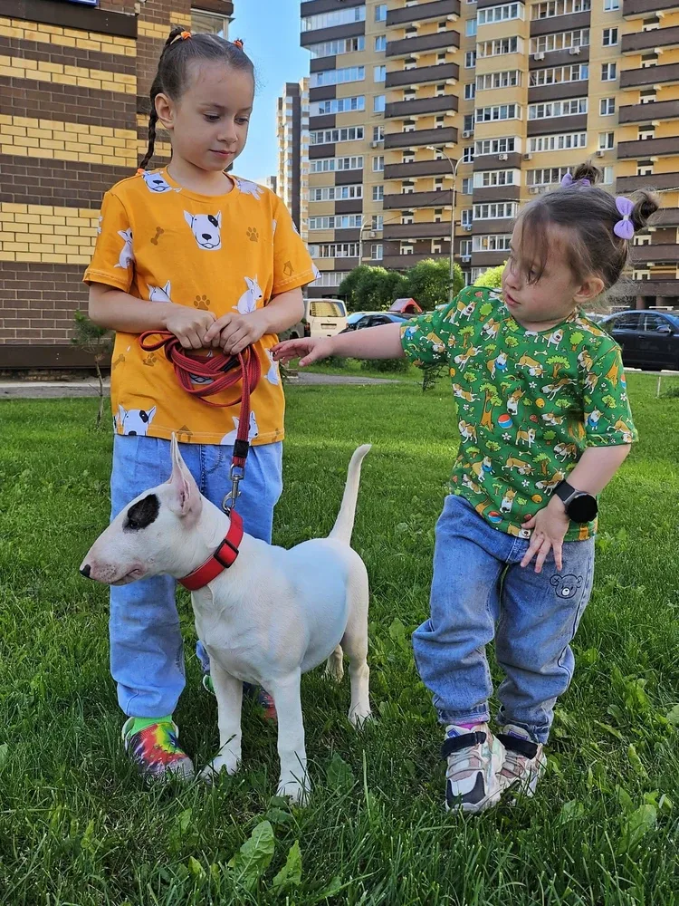 Фото-отзыв покупателя — одежда с принтом, Lacotton