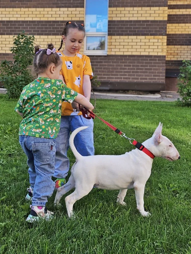 Фото-отзыв покупателя — одежда с принтом, Lacotton